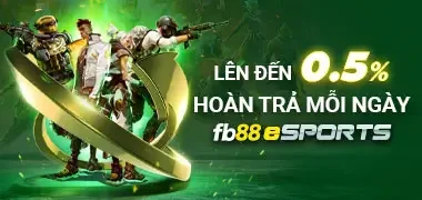 hoàn trả hạn mỗi ngày 0.5% tại fb88 esports