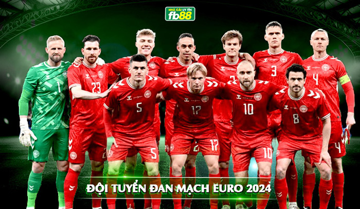 Đội hìn dự kiến của Đan mạch tại euro 2024