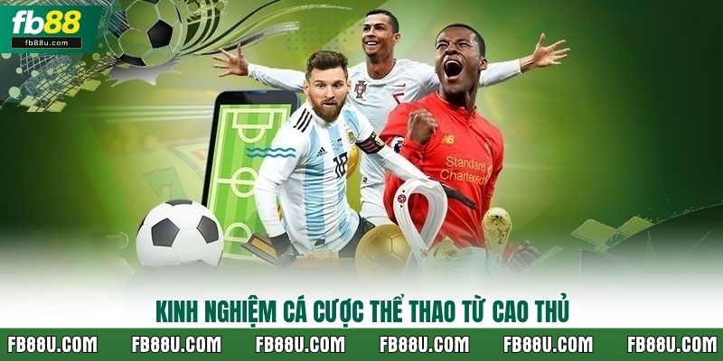 Kinh nghiệm cá cược thể thao từ cao thủ