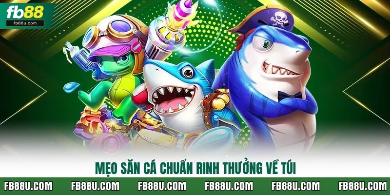 Mẹo săn cá chuẩn rinh thưởng về túi